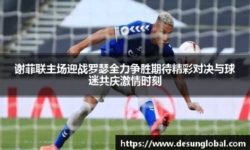 谢菲联主场迎战罗瑟全力争胜期待精彩对决与球迷共庆激情时刻